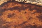 Loupe de bois de fer d'Arizona - coutellerie