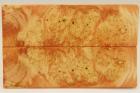 Plaquettes pour la coutellerie, Loupe d'Erable Ngundo stabilise orange, ref:PLpErs55123o