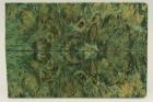 Plaquettes pour la coutellerie, Loupe d'Erable Ngundo stabilis vert, ref:PLpErs55425ve