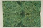 Plaquettes pour la coutellerie, Loupe d'Erable Ngundo stabilis vert, ref:PLpErs59461ve