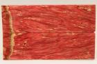 Plaquettes pour la coutellerie, Loupe d'Erable Ngundo stabilis rouge, ref:PLpErs63114r