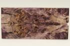 Plaquettes pour la coutellerie, Loupe de Peuplier stabilis violet, ref:PLpPEs63164vi