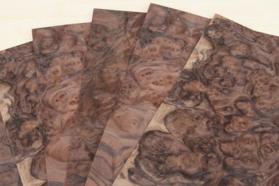 Feuille de placage, loupe de Noyer, ref:FLpN1134