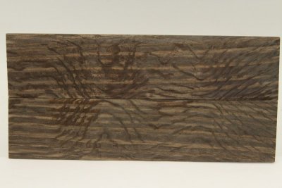 Chasse de rasoir, Chêne des marais (Morta), ref:RACM43109