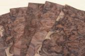 Feuille de placage, loupe de Noyer, ref:FLpN1134
