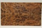 Chasse de rasoir, ronce de Thuya du Maroc, ref:RALpTM44901
