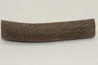 Cerf Sambar, section de merrain, ref:SecMSam59385
