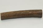 Cerf Sambar, section de merrain, ref:SecMSam59393