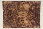 Plaquettes pour la coutellerie, Loupe de Peuplier stabilis violet, ref:PLpPEs60368vi