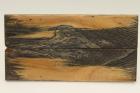 Plaquettes pour la coutellerie, Micocoulier stabilis noir, ref:PMicos62628