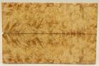 Plaquettes pour la coutellerie, Loupe d'Erable Ngundo stabilis naturel, ref:PLpErs67100na