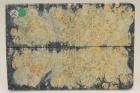 Dstockage, plaquettes, loupe d'Erable ngundo stabilis bleu, ref:DPLpErs68505