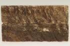 Plaquettes pour la coutellerie, corne de blier, ref:PBLR69071