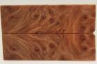 Plaquettes pour la coutellerie, Loupe de Squoia stabilis naturel, ref:PLpSqs69268