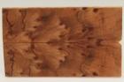 Plaquettes pour la coutellerie, Loupe de Squoia stabilis naturel, ref:PLpSqs69275