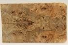 Plaquettes pour la coutellerie, Loupe de Peuplier stabilis naturel, ref:PLpPEs69312na