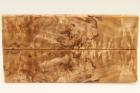 Plaquettes pour la coutellerie, Bouleau de Carlie stabilis naturel, ref:PBMs69371na