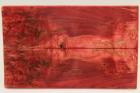 Plaquettes pour la coutellerie, Bouleau de Carlie stabilis rouge, ref:PBMs69382r