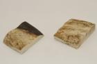 Mitres, dfense de phacochre, ref:MPHACO69420