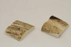 Mitres, dfense de phacochre, ref:MPHACO69421