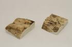 Mitres, dfense de phacochre, ref:MPHACO69422