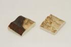 Mitres, dfense de phacochre, ref:MPHACO69423