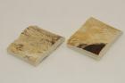 Mitres, dfense de phacochre, ref:MPHACO69418