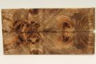 Plaquettes pour la coutellerie, Loupe de Peuplier stabilis marron, ref:PLpPEs69579ma