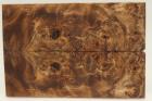 Plaquettes pour la coutellerie, Loupe de Peuplier stabilis marron, ref:PLpPEs69582ma