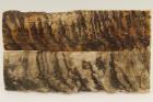 Plaquettes pour la coutellerie, corne de blier, ref:PBLR69761