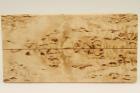 Plaquettes pour la coutellerie, Bouleau madr, ref:PBM69778