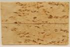 Plaquettes pour la coutellerie, Bouleau madr, ref:PBM69780