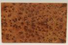 Plaquettes pour la coutellerie, Ronce de Thuya du Maroc, ref:PLpTM69796