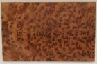 Grand format, plaquettes Ronce de Thuya du Maroc, ref:GFPLpTM69799