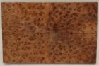 Grand format, plaquettes Ronce de Thuya du Maroc, ref:GFPLpTM69800