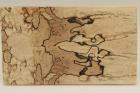 Plaquettes pour la coutellerie, Htre chauff, ref:PCHef69824