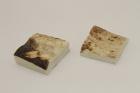 Mitres, dfense de phacochre, ref:MPHACO70050