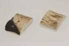 Mitres, dfense de phacochre, ref:MPHACO70052