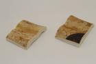 Mitres, dfense de phacochre, ref:MPHACO70048