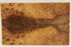 Plaquettes pour la coutellerie, Loupe de Chne stabilise, ref:PLpCHs70038