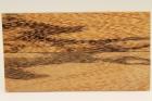 Plaquettes pour la coutellerie, Bois serpent, ref:PBS70137