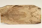 Plaquettes pour la coutellerie, Htre chauff, ref:PCHef70143
