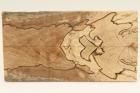 Plaquettes pour la coutellerie, Htre chauff, ref:PCHef70145