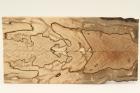 Plaquettes pour la coutellerie, Htre chauff, ref:PCHef70142