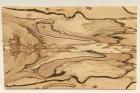 Plaquettes pour la coutellerie, Htre chauff, ref:PCHef70148