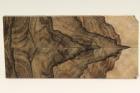 Plaquettes pour la coutellerie, Ziricote, ref:PZI70154