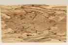 Plaquettes pour la coutellerie, loupe de Htre chauff, ref:PCHef70294
