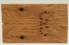 Plaquettes pour la coutellerie, loupe de Chne, ref:PLpCH70337