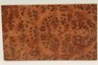Plaquettes pour la coutellerie, Ronce de Thuya du Maroc, ref:PLpTM70322