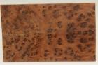 Plaquettes pour la coutellerie, Ronce de Thuya du Maroc, ref:PLpTM70321